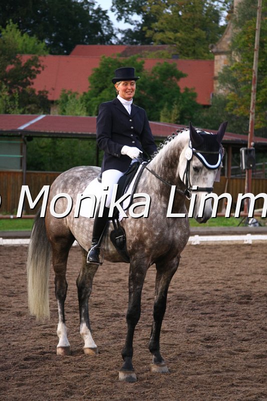 109M5434_Felino_Dressurpferde M.JPG